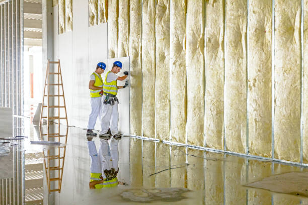 Best Insulation Maintenance and Repair in Brock Hall, MD